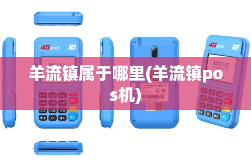 羊流镇属于哪里(羊流镇pos机)