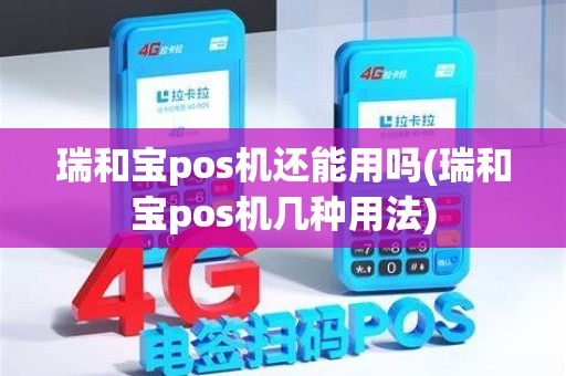 瑞和宝pos机还能用吗(瑞和宝pos机几种用法)