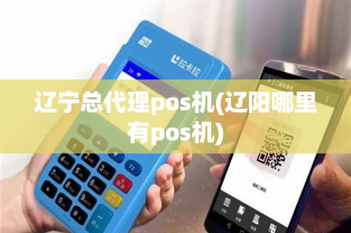 辽宁总代理pos机(辽阳哪里有pos机)
