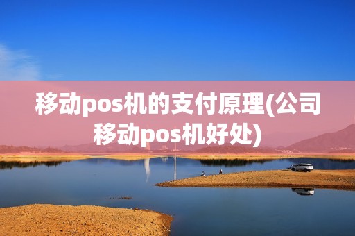 移动pos机的支付原理(公司移动pos机好处)