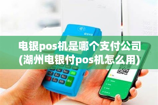 电银pos机是哪个支付公司(湖州电银付pos机怎么用)