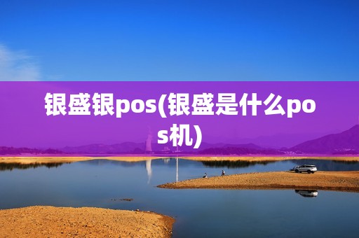 银盛银pos(银盛是什么pos机)