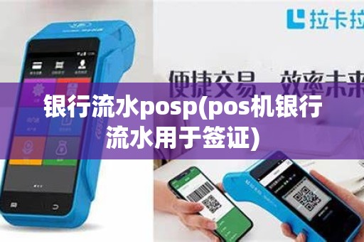 银行流水posp(pos机银行流水用于签证)
