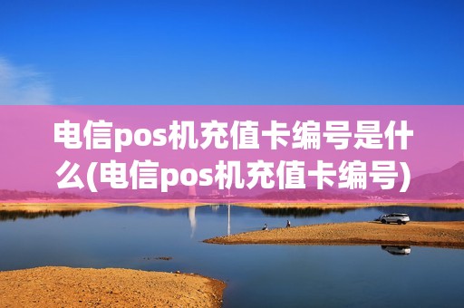 电信pos机充值卡编号是什么(电信pos机充值卡编号)