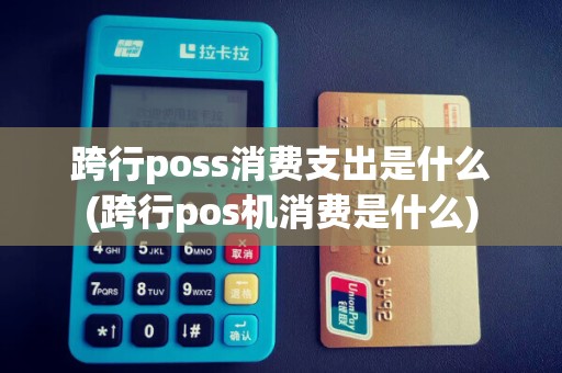 跨行poss消费支出是什么(跨行pos机消费是什么)