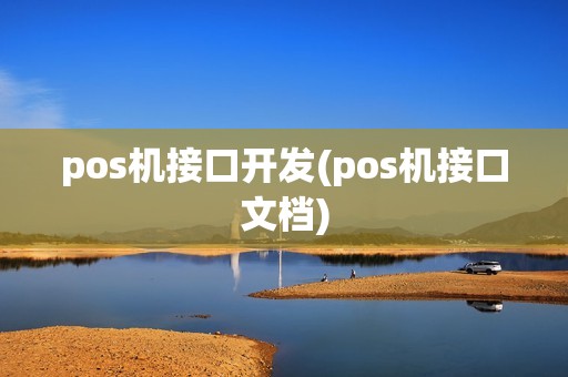 pos机接口开发(pos机接口文档)