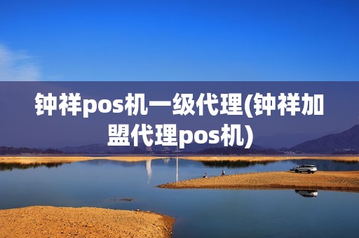 钟祥pos机一级代理(钟祥加盟代理pos机)