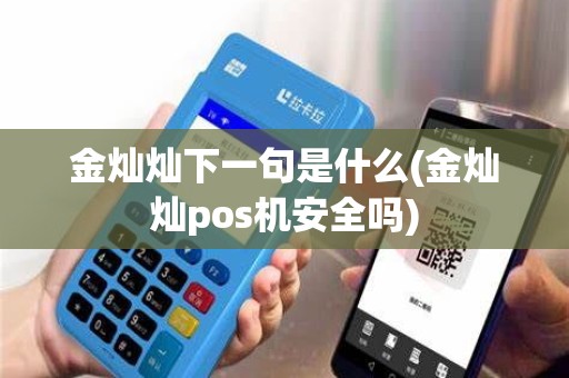 金灿灿下一句是什么(金灿灿pos机安全吗)