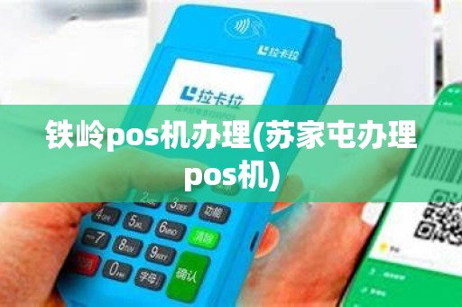 铁岭pos机办理(苏家屯办理pos机)