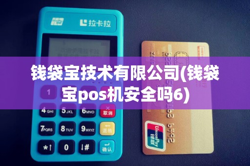 钱袋宝技术有限公司(钱袋宝pos机安全吗6)