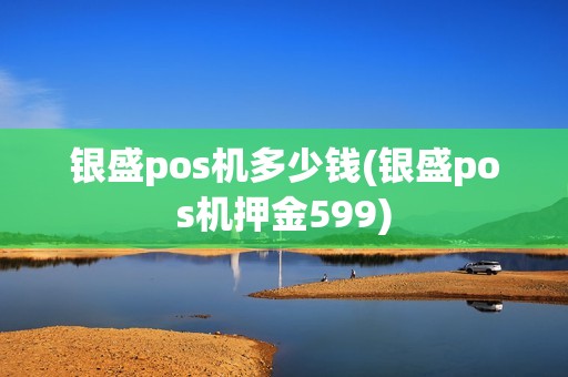 银盛pos机多少钱(银盛pos机押金599)