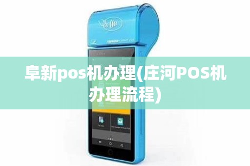 阜新pos机办理(庄河POS机办理流程)