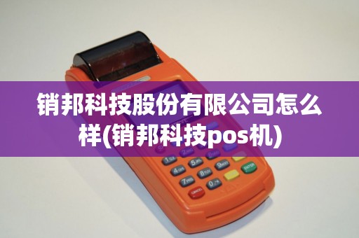 销邦科技股份有限公司怎么样(销邦科技pos机)