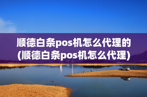 顺德白条pos机怎么代理的(顺德白条pos机怎么代理)