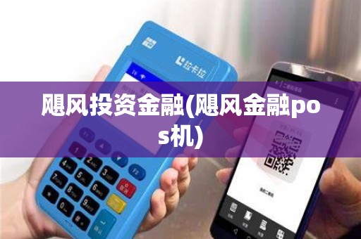 飓风投资金融(飓风金融pos机)