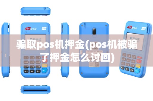 骗取pos机押金(pos机被骗了押金怎么讨回)