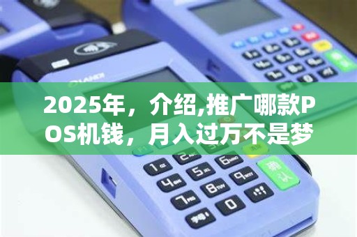2025年,介绍,推广哪款POS机钱,月入过万不是梦!