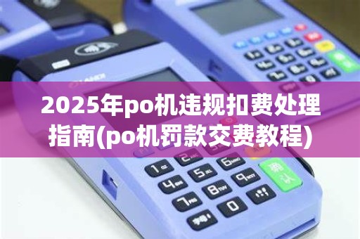 2025年po机违规扣费处理指南(po机罚款交费教程)