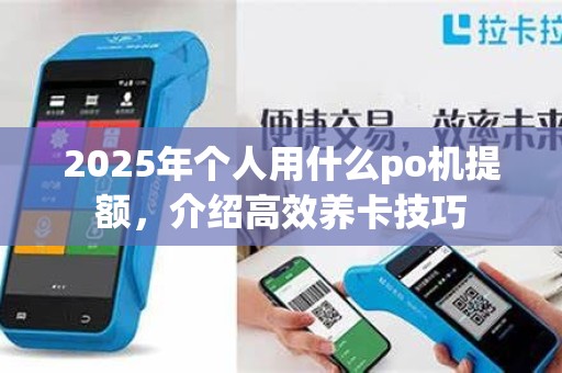 2025年个人用什么po机提额,介绍高效养卡技巧