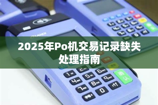 2025年Po机交易记录缺失处理指南