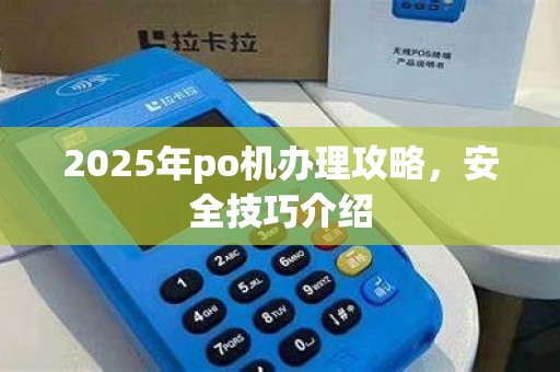2025年po机办理攻略，安全技巧介绍