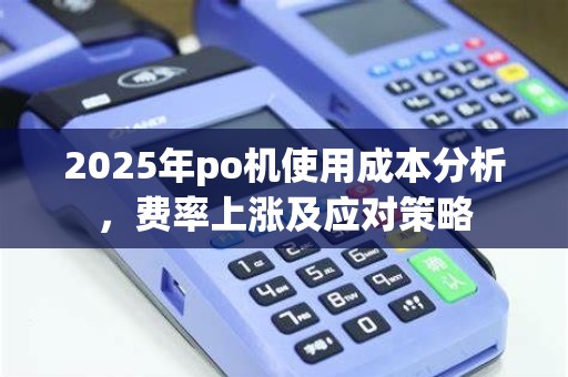 2025年po机使用成本分析，费率上涨及应对策略