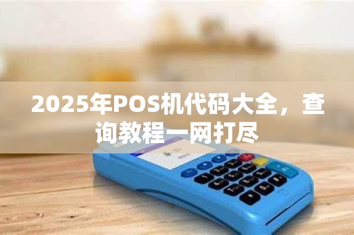 2025年POS机代码大全，查询教程一网打尽