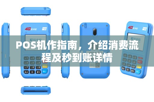 POS机作指南，介绍消费流程及秒到账详情