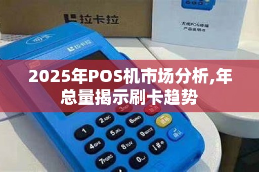 2025年POS机市场分析,年总量揭示刷卡趋势