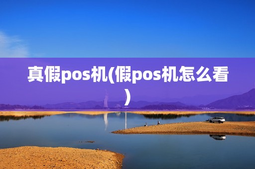 真假pos机(假pos机怎么看)