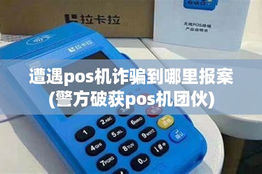 遭遇pos机诈骗到哪里报案(警方破获pos机团伙)