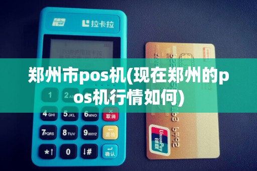 郑州市pos机(现在郑州的pos机行情如何)