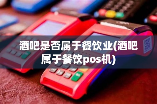 酒吧是否属于餐饮业(酒吧属于餐饮pos机)