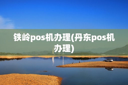 铁岭pos机办理(丹东pos机办理)