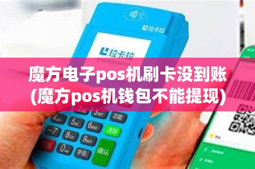 魔方电子pos机刷卡没到账(魔方pos机钱包不能提现)
