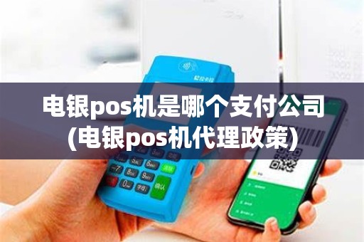 电银pos机是哪个支付公司(电银pos机代理政策)