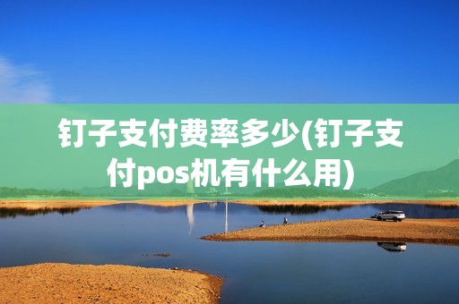 钉子支付费率多少(钉子支付pos机有什么用)