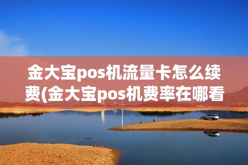 金大宝pos机流量卡怎么续费(金大宝pos机费率在哪看)