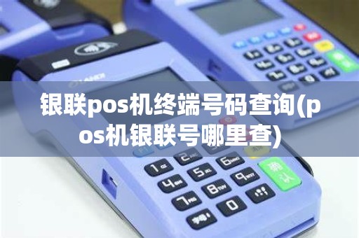 银联pos机终端号码查询(pos机银联号哪里查)