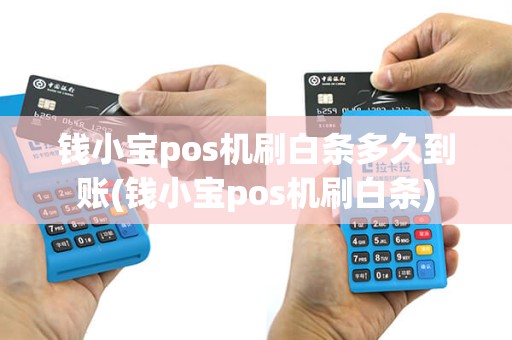 钱小宝pos机刷白条多久到账(钱小宝pos机刷白条)