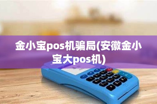 金小宝pos机骗局(安徽金小宝大pos机)