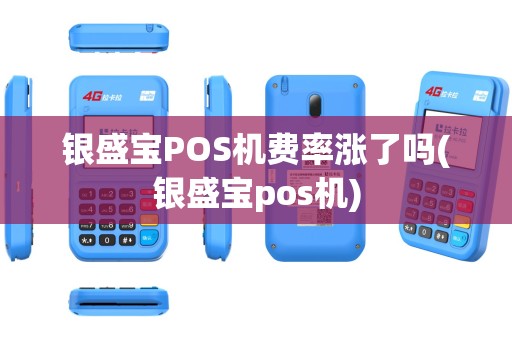 银盛宝POS机费率涨了吗(银盛宝pos机)