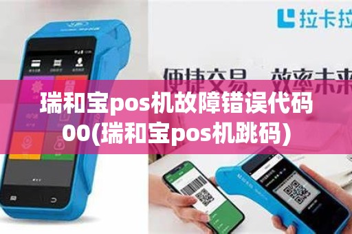 瑞和宝pos机故障错误代码00(瑞和宝pos机跳码)