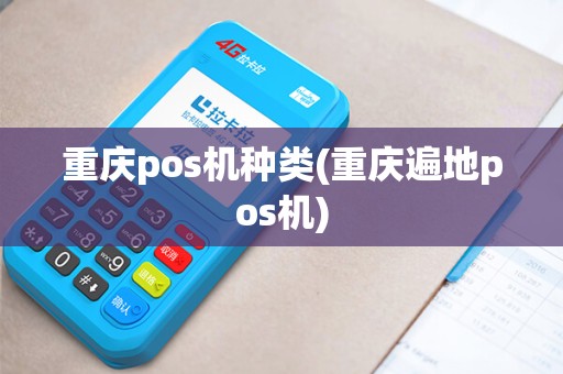 重庆pos机种类(重庆遍地pos机)