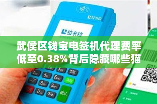 武侯区钱宝电签机代理费率低至0.38%背后隐藏哪些猫腻？揭秘低费率背后的真相与风险