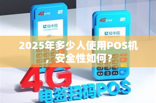 2025年多少人使用POS机，安全性如何？