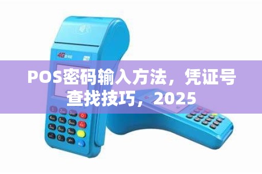 POS密码输入方法，凭证号查找技巧，2025