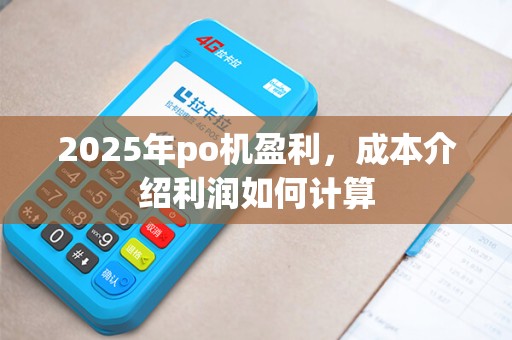 2025年po机盈利，成本介绍利润如何计算