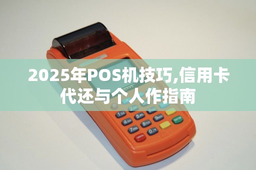 2025年POS机技巧,信用卡代还与个人作指南