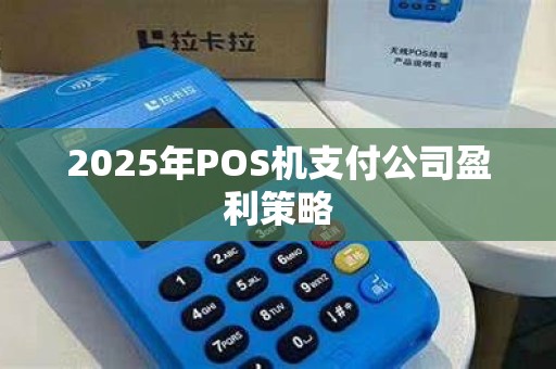 2025年POS机支付公司盈利策略